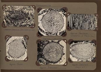 (PHOTO-MICROGRAPHS--PALAEO BOTANY) Album entitled Palaeo Botany containing approximately 121 abstract micro-photographs of plants and c